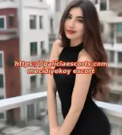 istanbul mecidiyekoy escort dunyasi